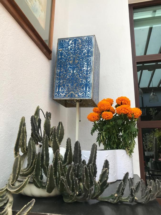Habitaciones Coyoacan Мехіко Екстер'єр фото